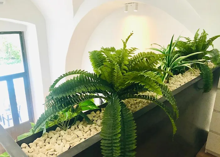 Oli's Charming House