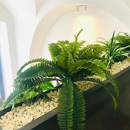 Oli's Charming House